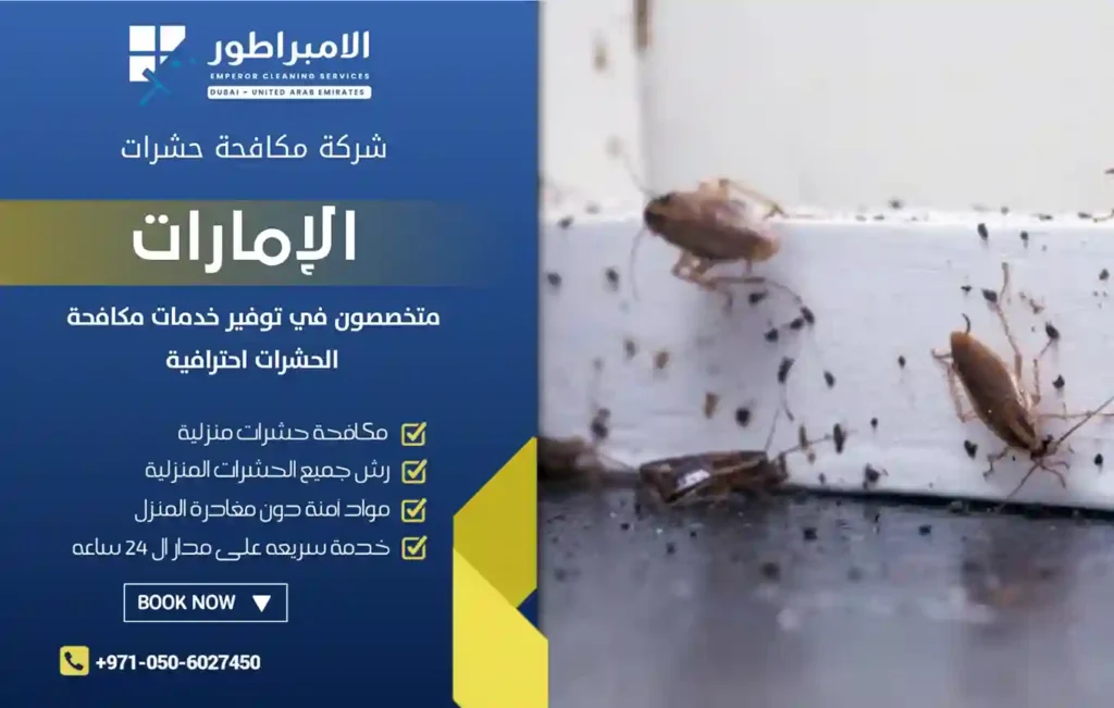 ارخص شركة مكافحة الصراصير في رأس الخيمة