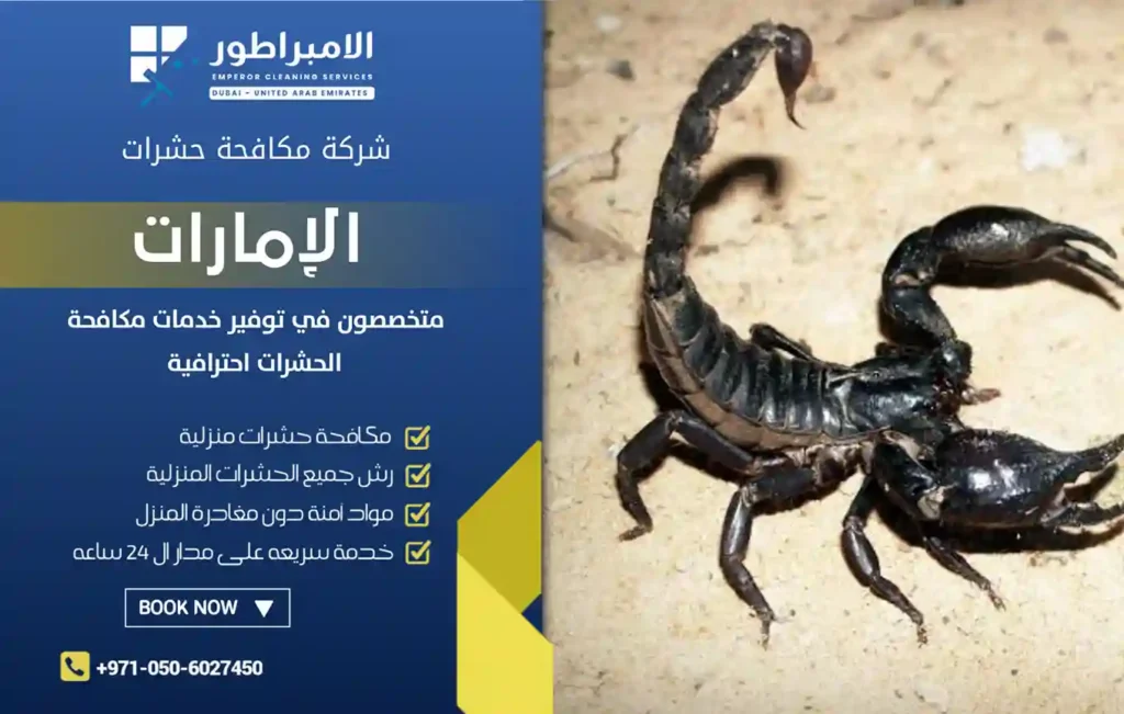 ارخص شركة مكافحة عقارب في رأس الخيمة