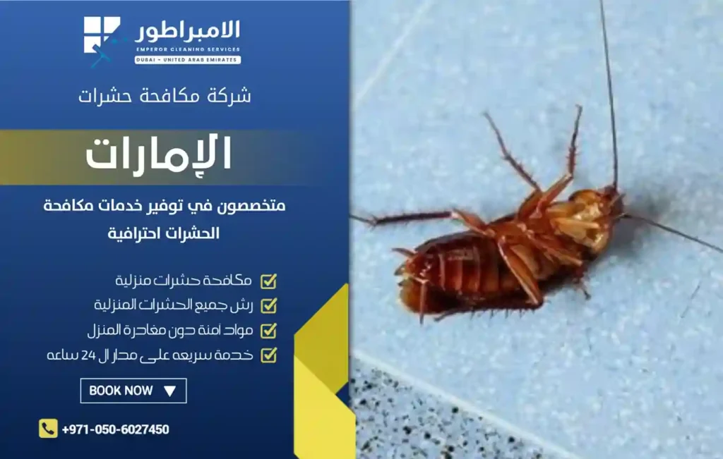 افضل شركة مكافحة صراصير في رأس الخيمة