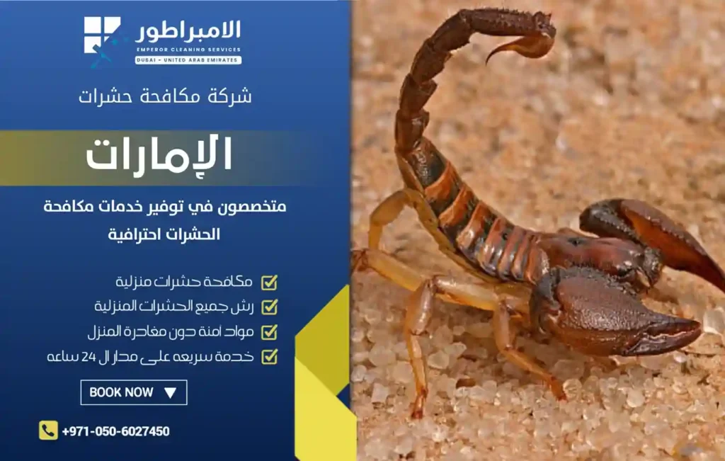 افضل شركة مكافحة عقارب في رأس الخيمة