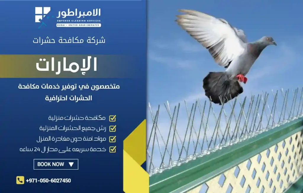 شركة مكافحة الحمام في الرحمانية