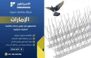شركة مكافحة الحمام في رأس الخيمة