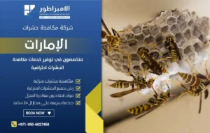 شركة مكافحة الدبابير في رأس الخيمة