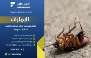 شركة مكافحة الصراصير في أبوظبي