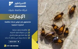 شركة مكافحة الصراصير في رأس الخيمة