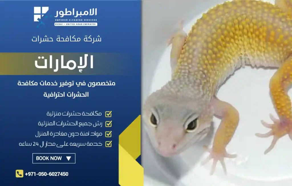 شركة مكافحة الطيطار في رأس الخيمة