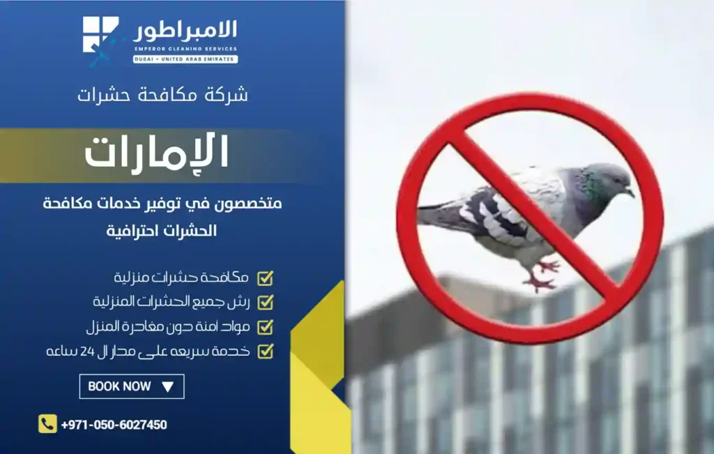 شركة مكافحة الطيور بالرحمانية