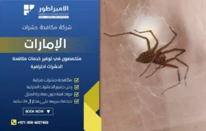 شركة مكافحة العناكب في رأس الخيمة