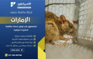 شركة مكافحة الفئران في رأس الخيمة