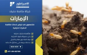 شركة مكافحة النمل الابيض في رأس الخيمة