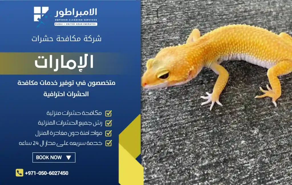 شركة مكافحة الوزغ راس الخيمة