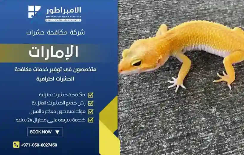 شركة-مكافحة الوزغ راس الخيمة