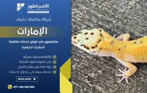 شركة مكافحة الوزغ في رأس الخيمة