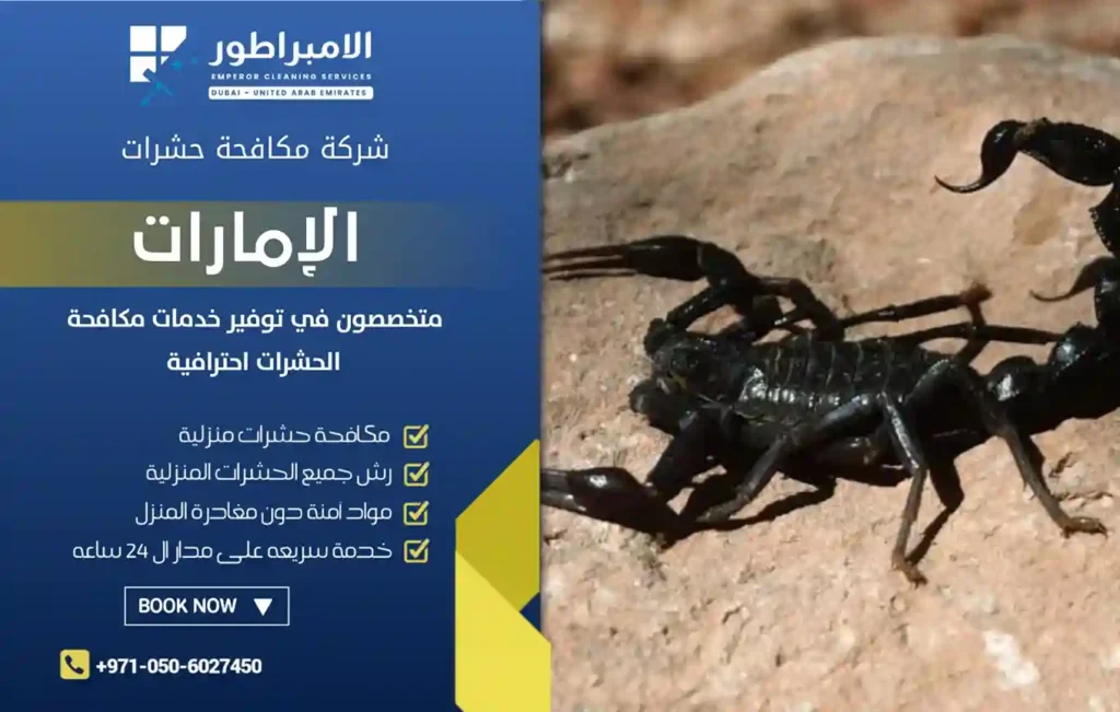 شركة مكافحة عقارب برأس الخيمة