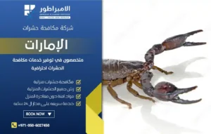 شركة مكافحة عقارب في رأس الخيمة