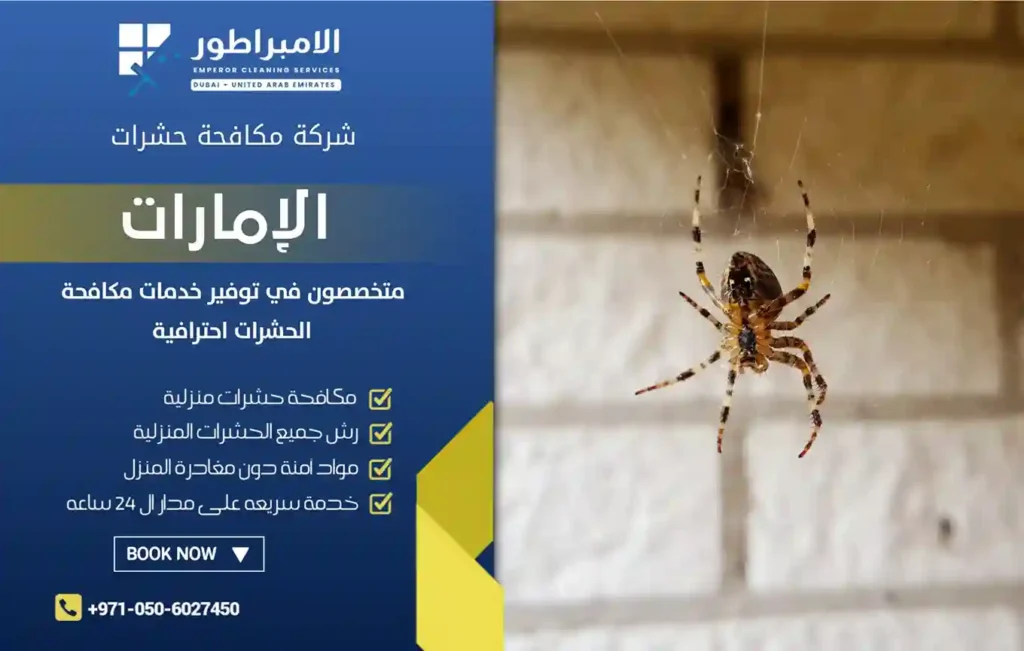 افضل شركة مكافحة العناكب في ابوظبي