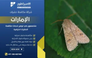 شركة مكافحة العثة في ابوظبي