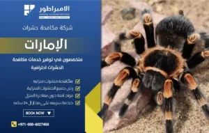 شركة مكافحة العناكب في ابوظبي