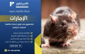 شركة مكافحة الفئران في ابوظبي