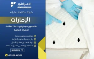 شركة مكافحة بق الفراش في ابوظبي