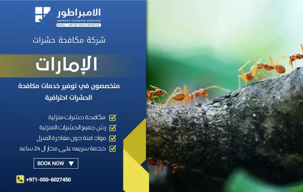 افضل شركة مكافحة حشرات في النهدة