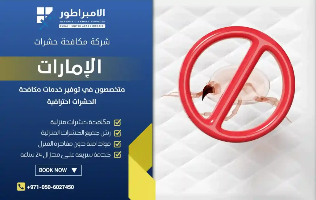 شركة مكافحة حشرات في النهدة دبي