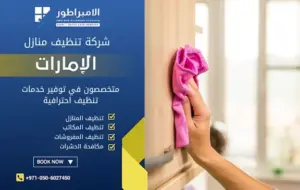 شركة تنظيف في الورقاء