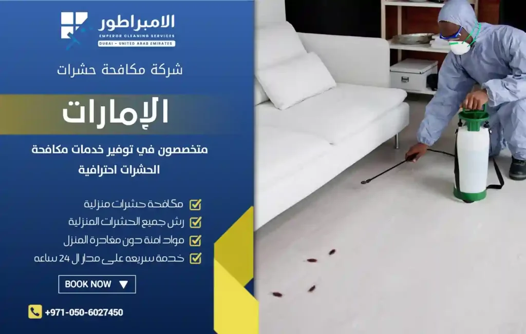 ارخص شركة مكافحة حشرات في الورقاء