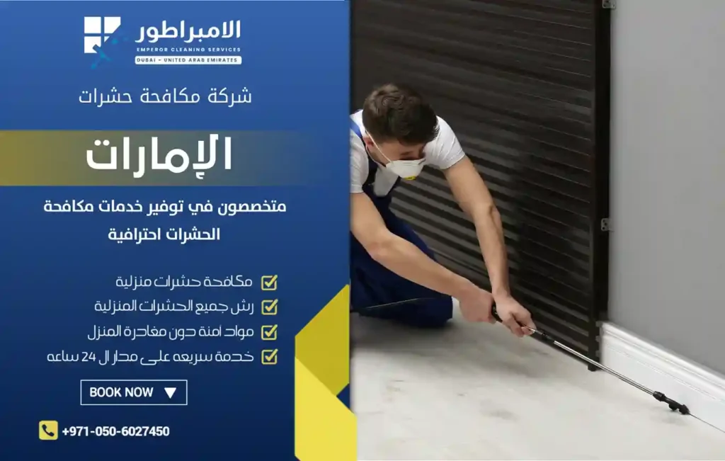 ارخص شركة مكافحة حشرات في مردف
