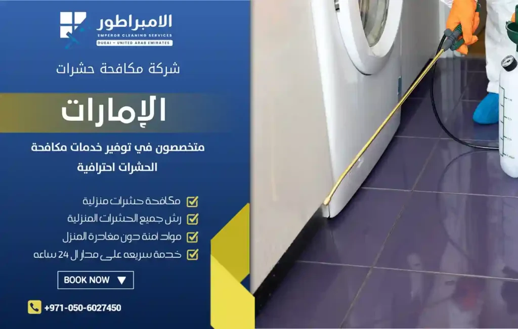 افضل شركة مكافحة حشرات في مردف