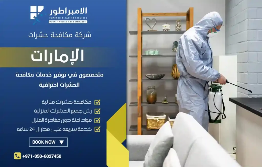 شركة رش حشرات في الجميرا