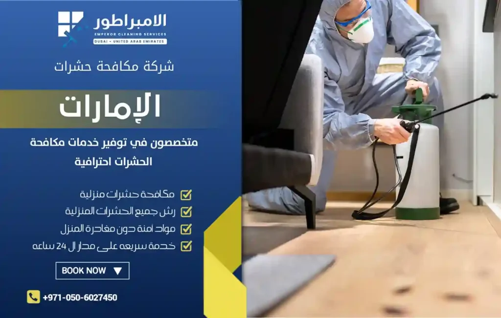 شركة مكافحة حشرات في مردف دبي
