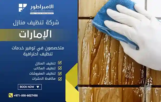 شركة نظافة فلل في دبي