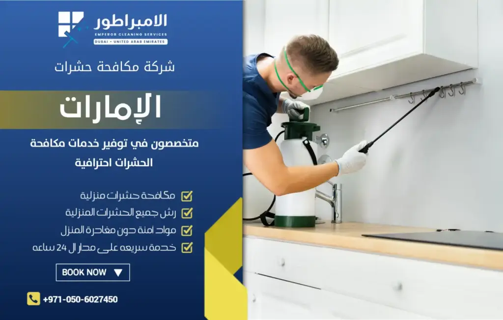ارخص شركة مكافحة حشرات في خورفكان
