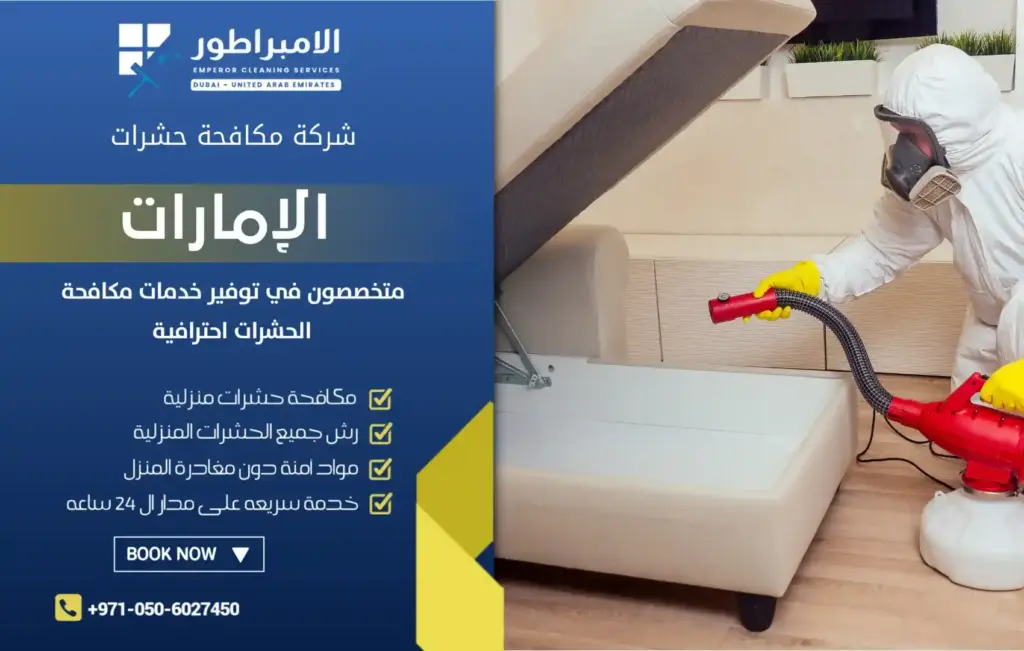 ارخص شركة مكافحة حشرات في كلباء