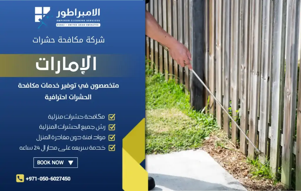افضل شركة مكافحة حشرات في كلباء