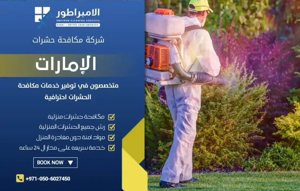 شركة رش حشرات في الليسيلي