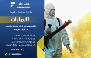 شركة مكافحة حشرات في الليسيلي