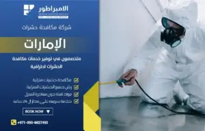 شركة مكافحة حشرات في حتا