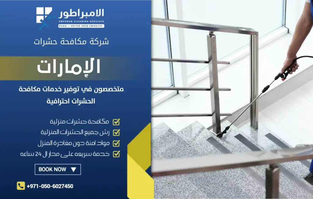 شركة مكافحة حشرات في خورفكان