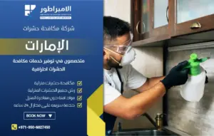 شركة مكافحة حشرات في كلباء
