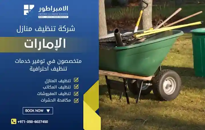 تنظيف منازل