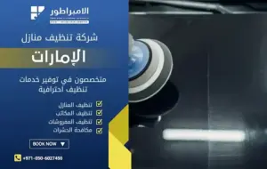 شركة تنظيف في الباهية