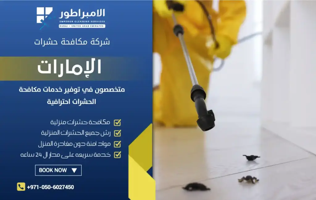 شركة مكافحة حشرات في الجيمي
