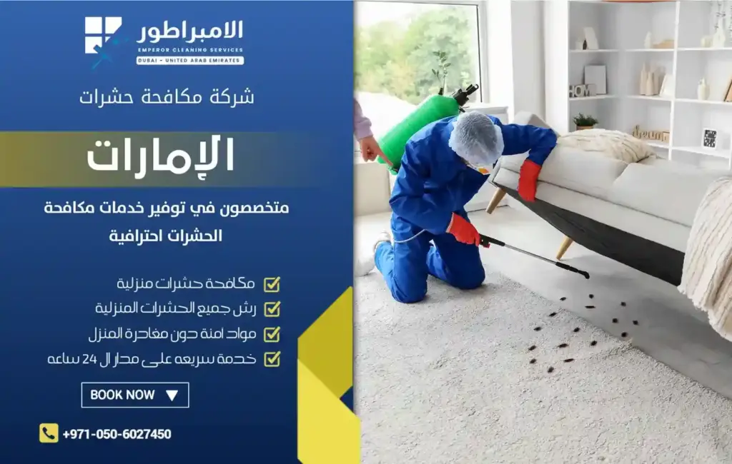 شركة مكافحة حشرات في الراشدية