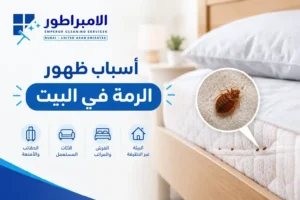 أسباب ظهور النمل الأبيض في البيت