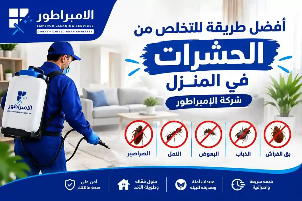 افضل طريقة للتخلص من الحشرات في المنزل