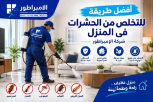 افضل طريقة للتخلص من الحشرات في المنزل