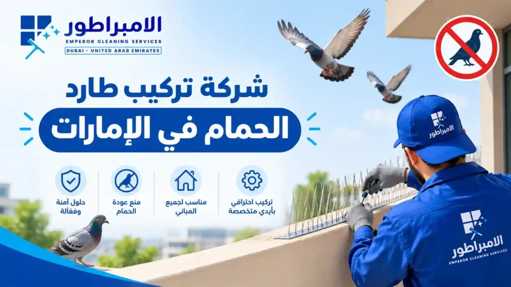 شركة تركيب طارد الحمام في الامارات