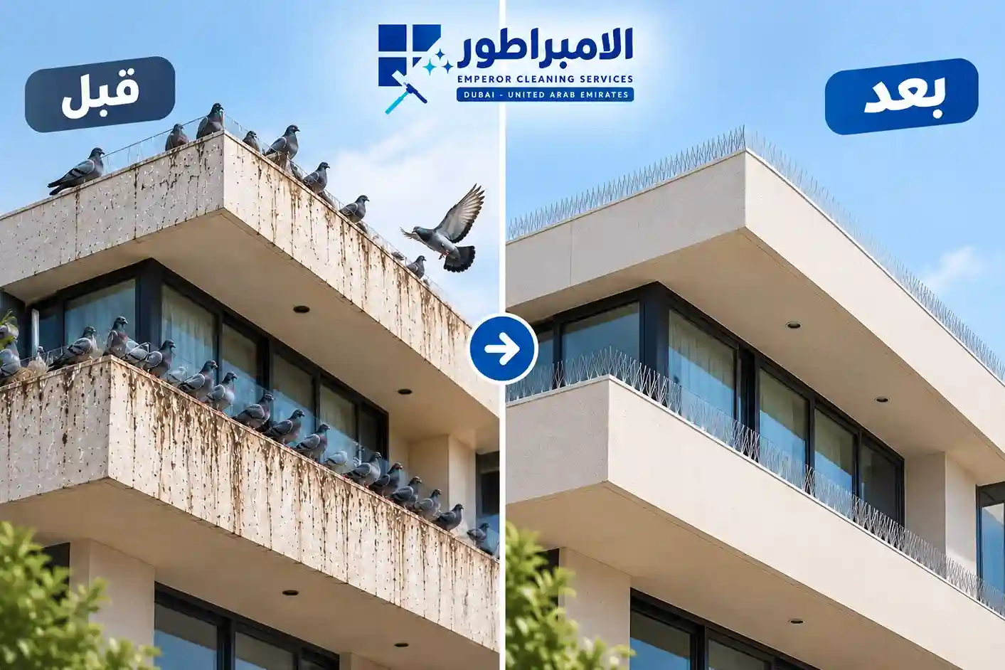 شركة تركيب طارد الحمام في دبي _ قبل وبعد